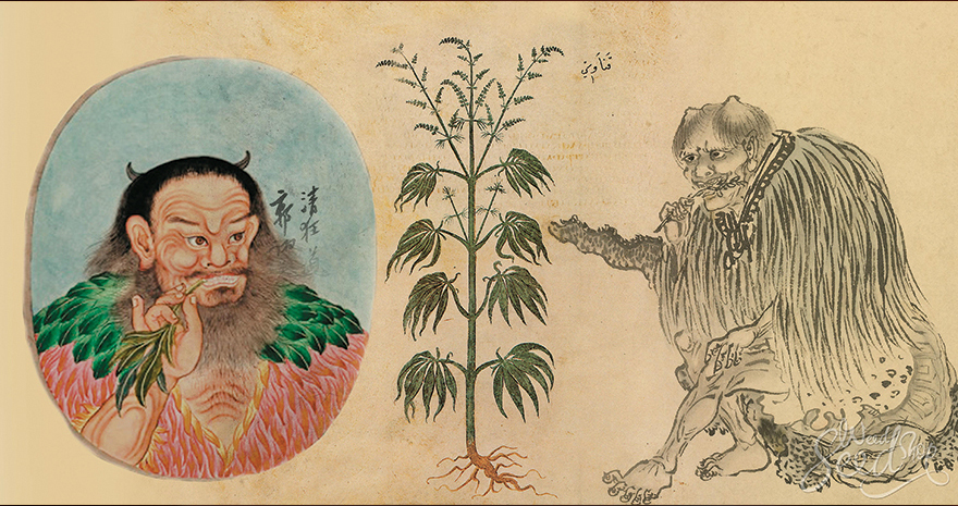 Resultado de imagem para Shen Neng cannabis