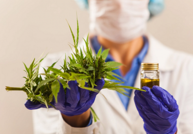 UNIFESP abre 20 mil vagas para curso gratuito de Cannabis Medicinal até 29 de agosto
