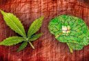 Psicologia e a utilidade da Cannabis Medicinal