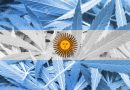 Argentina: deputados aprovaram a lei da Cannabis Medicinal e do Cânhamo Industrial