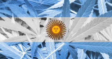 Argentina: deputados aprovaram a lei da Cannabis Medicinal e do Cânhamo Industrial