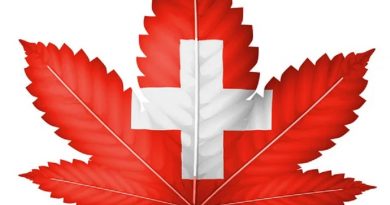 Suíça legaliza a Cannabis Medicinal e governo apoia pesquisas à saúde