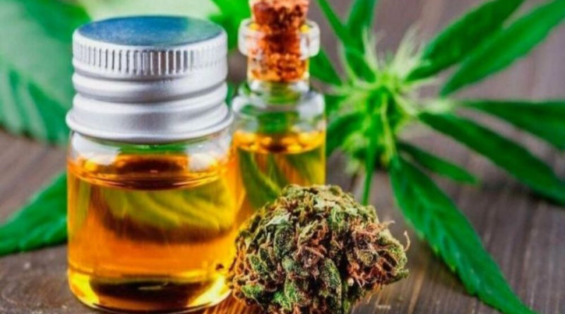 Guia de importação de produtos medicinais derivados da Cannabis