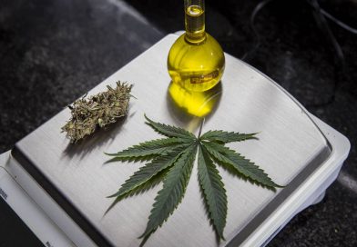 O potencial reprimido do mercado da Cannabis Medicinal no Brasil