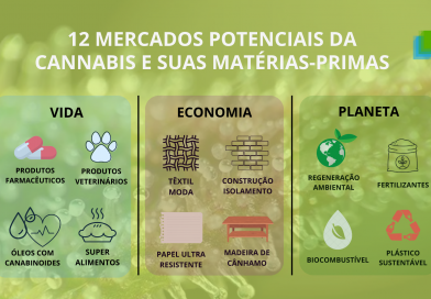 2024: Tendências Regulatórias da Cannabis no Brasil